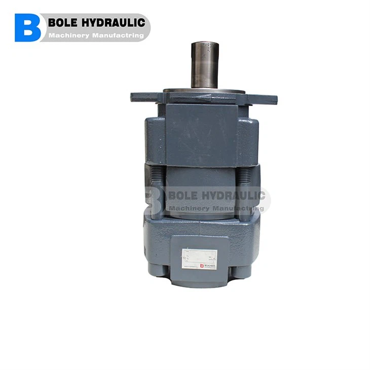 Gear Pump 020L-BI-3H